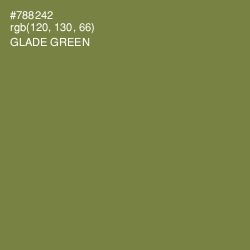 #788242 - Glade Green Color Image