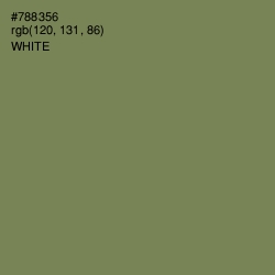 #788356 - Glade Green Color Image