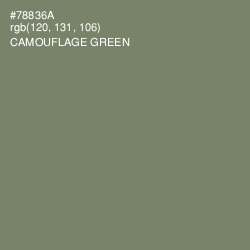 #78836A - Camouflage Green Color Image