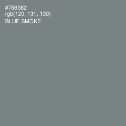 #788382 - Blue Smoke Color Image