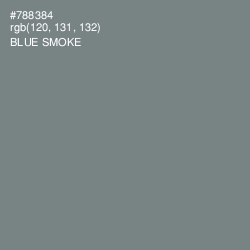 #788384 - Blue Smoke Color Image