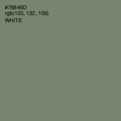 #78846D - Camouflage Green Color Image