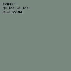 #788881 - Blue Smoke Color Image