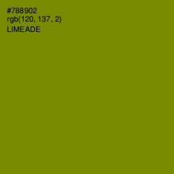 #788902 - Limeade Color Image