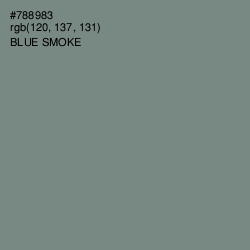 #788983 - Blue Smoke Color Image