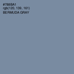 #788BA1 - Bermuda Gray Color Image