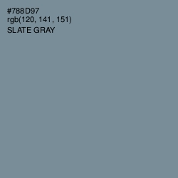 #788D97 - Slate Gray Color Image