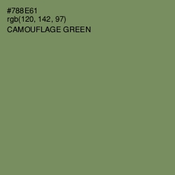 #788E61 - Camouflage Green Color Image