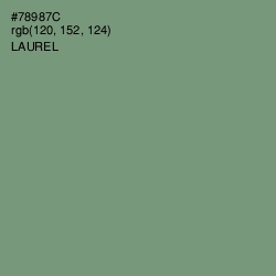 #78987C - Laurel Color Image