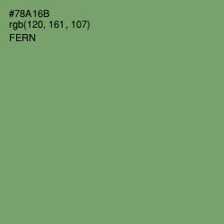 #78A16B - Fern Color Image