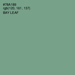 #78A189 - Bay Leaf Color Image