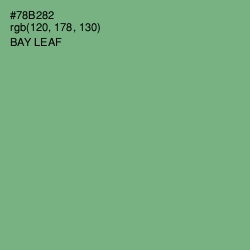 #78B282 - Bay Leaf Color Image
