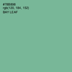 #78B898 - Bay Leaf Color Image