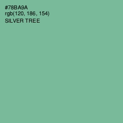 #78BA9A - Silver Tree Color Image