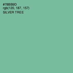 #78BB9D - Silver Tree Color Image