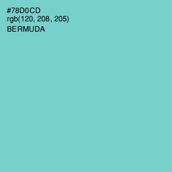 #78D0CD - Bermuda Color Image