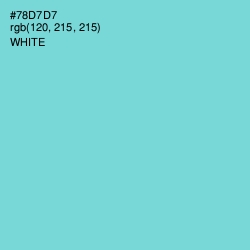 #78D7D7 - Bermuda Color Image