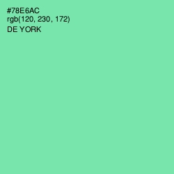 #78E6AC - De York Color Image