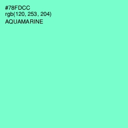 #78FDCC - Aquamarine Color Image
