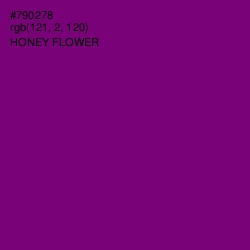 #790278 - Honey Flower Color Image