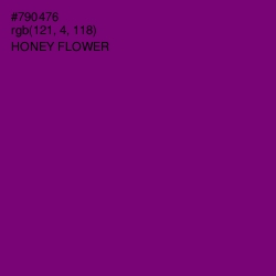 #790476 - Honey Flower Color Image