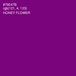 #79047B - Honey Flower Color Image