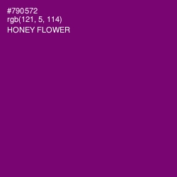 #790572 - Honey Flower Color Image