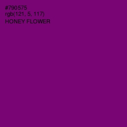 #790575 - Honey Flower Color Image