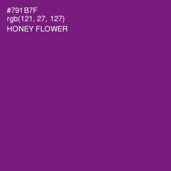 #791B7F - Honey Flower Color Image