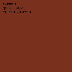 #79301D - Copper Canyon Color Image