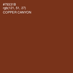 #79331B - Copper Canyon Color Image