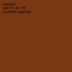 #793813 - Copper Canyon Color Image