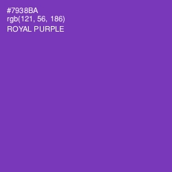 #7938BA - Royal Purple Color Image