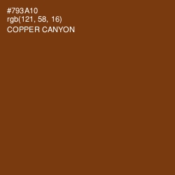 #793A10 - Copper Canyon Color Image