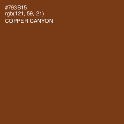 #793B15 - Copper Canyon Color Image