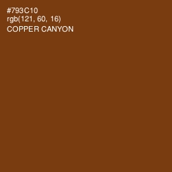 #793C10 - Copper Canyon Color Image