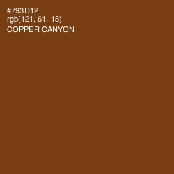 #793D12 - Copper Canyon Color Image