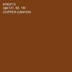 #793F13 - Copper Canyon Color Image