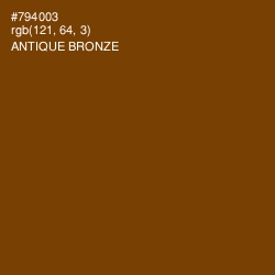 #794003 - Antique Bronze Color Image