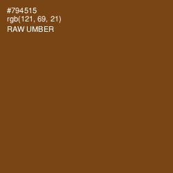 #794515 - Raw Umber Color Image