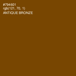 #794601 - Antique Bronze Color Image
