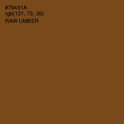 #79491A - Raw Umber Color Image