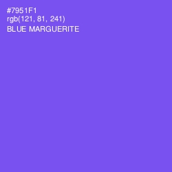 #7951F1 - Blue Marguerite Color Image