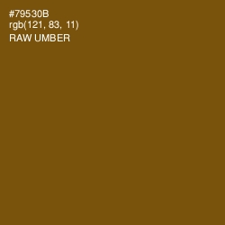 #79530B - Raw Umber Color Image
