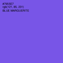 #7955E7 - Blue Marguerite Color Image