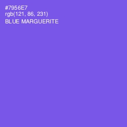 #7956E7 - Blue Marguerite Color Image