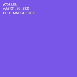 #7956E8 - Blue Marguerite Color Image