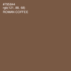 #795844 - Roman Coffee Color Image