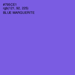 #795CE1 - Blue Marguerite Color Image