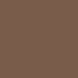 #795D4A - Roman Coffee Color Image